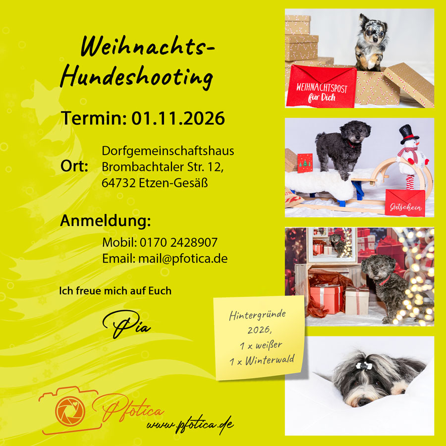 Angebot Weihnachtsshooting